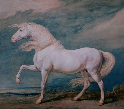 Adonis, a White Stallion by James Ward